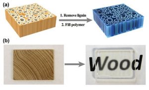 Quy trình xử lý hóa học 2 bước được sử dụng để tạo ra gỗ trong suốt