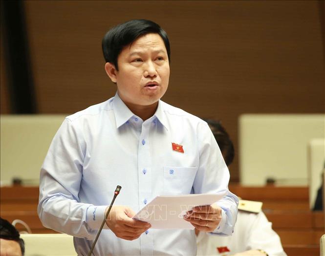 Đại biểu Quốc hội tỉnh Tiền Giang Lê Quang Trí phát biểu ý kiến. Ảnh: Doãn Tấn/TTXVN
