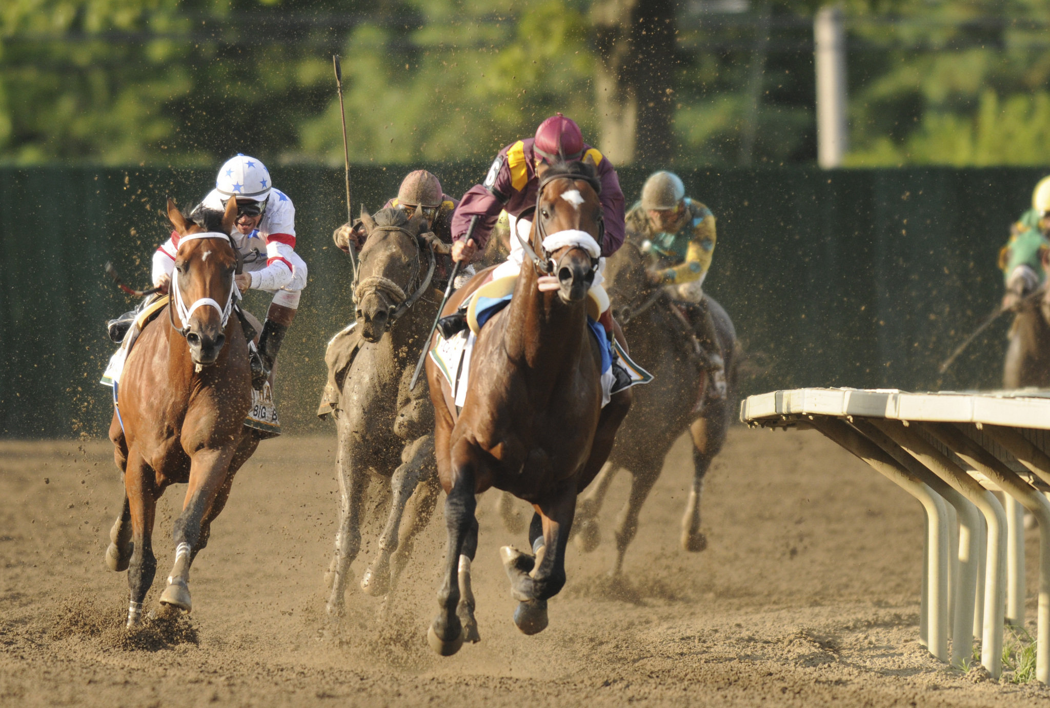 Horse track. Лошадиный бег. Решетино скачки.