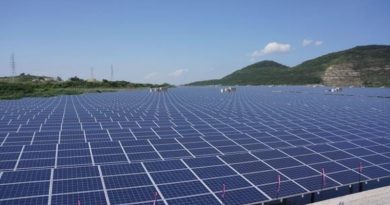Sắp khởi công dự án điện mặt trời trị giá gần 50 triệu USD tại Gia Lai