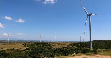 Hong Kong firm eyes 80-mln-USD wind power project in Thanh Hoa