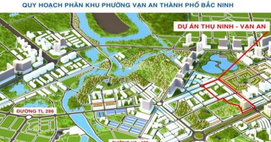 Phê duyệt dự án nhà ở Thụ Ninh với diện tích hơn 90.100m2