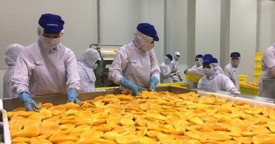 Việt Nam calls for investment in fruit and vegetable processing