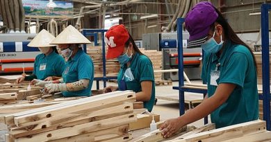 Ngành gỗ Việt Nam bắt tay vào việc thực hiện chuyển đổi số