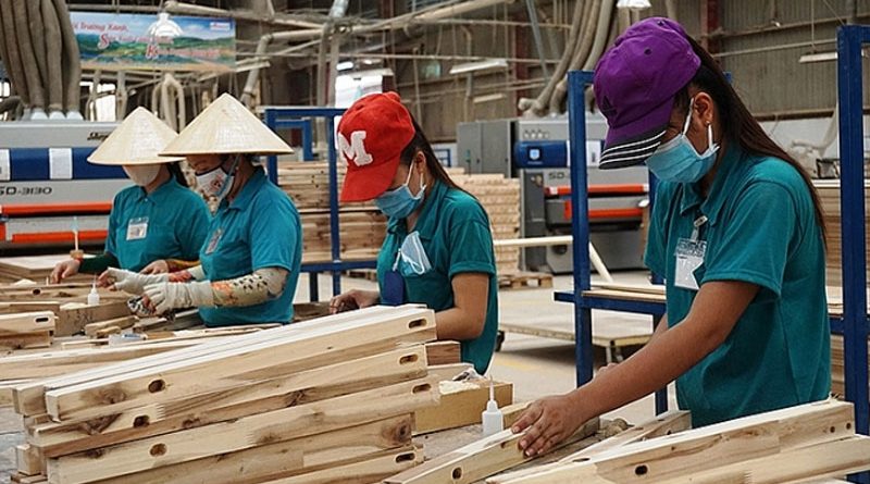 Ngành gỗ Việt Nam bắt tay vào việc thực hiện chuyển đổi số
