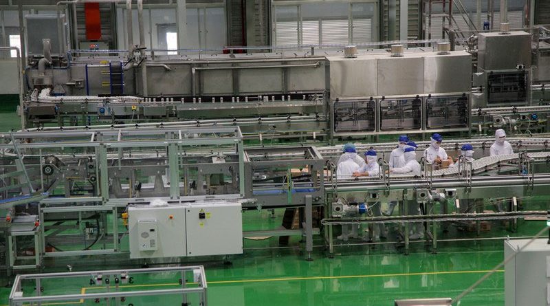 Lào Cai sẽ có Nhà máy chế biến rau quả xuất khẩu vào năm 2021