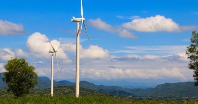 Bình Thuận xin chuyển đổi đất rừng tự nhiên làm dự án điện gió