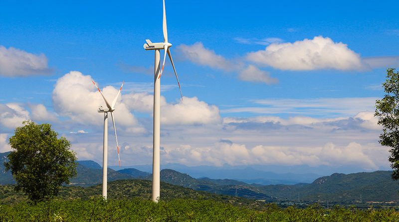 Bình Thuận xin chuyển đổi đất rừng tự nhiên làm dự án điện gió