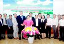 Chủ tịch UBND tỉnh Trần Ngọc Tam tiếp nhà đầu tư năng lượng hydro xanh