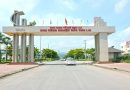 Thêm một dự án hơn 260 tỷ đồng được cấp giấy chứng nhận đăng ký đầu tư trong Khu kinh tế mở Chu Lai