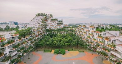 Tổ hợp giáo dục