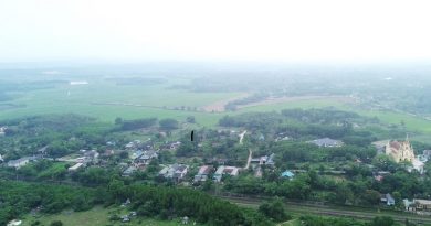 dự án nhà máy viên nén gỗ