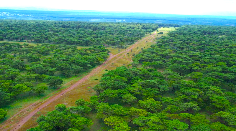 Chấp thuận chủ trương đầu tư sân golf nghìn tỷ ở Gia Lai Chấp thuận chủ trương đầu tư sân golf nghìn tỷ ở Gia Lai