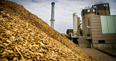 Chấp thuận chủ trương đầu tư Dự án Nhà máy điện sinh khối An Giang 1