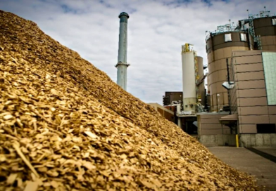 Chấp thuận chủ trương đầu tư Dự án Nhà máy điện sinh khối An Giang 1