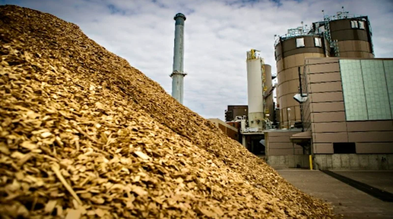 Chấp thuận chủ trương đầu tư Dự án Nhà máy điện sinh khối An Giang 1