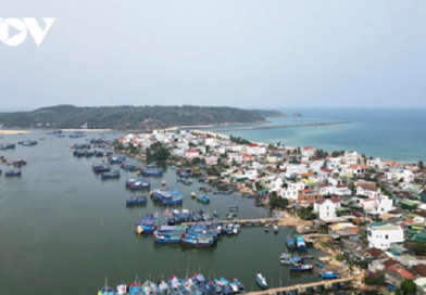 Gia Lai chấp thuận đầu tư dự án Nhà máy chế biến hải sản và nước đá cây tại Cảng cá Tam Quan, phường Hoài Nhơn Bắc với tổng vốn đầu tư 120 tỷ đồng Gia Lai chấp thuận đầu tư dự án Nhà máy chế biến hải sản và nước đá cây tại Cảng cá Tam Quan, phường Hoài Nhơn Bắc với tổng vốn đầu tư 120 tỷ đồng